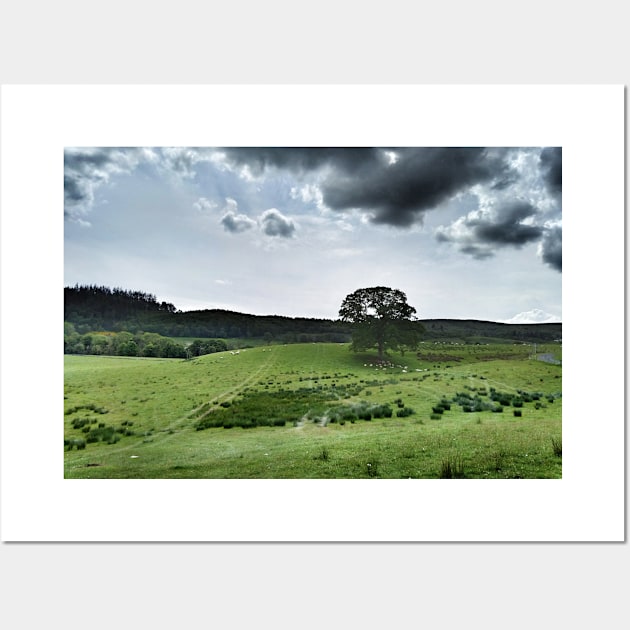 The contrast of midday -  farmland near Crieff, west perthshire, Scotland, UK Wall Art by richflintphoto